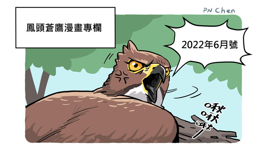 鳳頭蒼鷹漫畫專欄(2022年6月號)