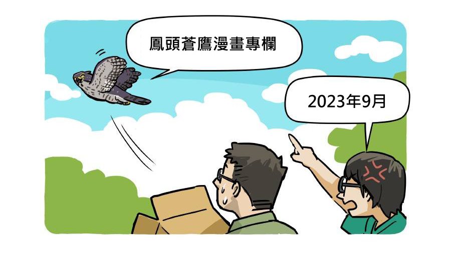 鳳頭蒼鷹漫畫專欄(2023年9月)