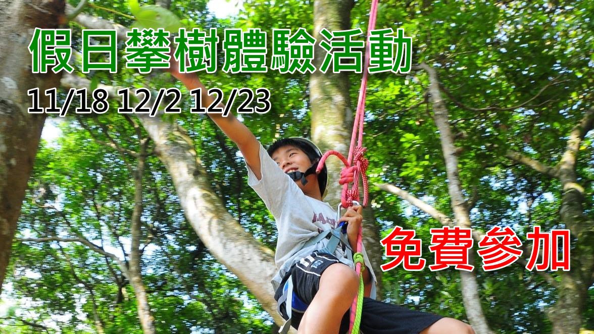 大安之友會特別安排三場寓教於樂的假日攀樹體驗活動