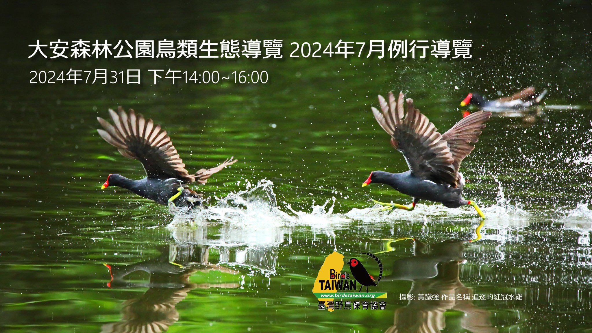 臺灣野鳥保育協會 2024年7月例行導覽 因颱風變更活動時間請重新報名