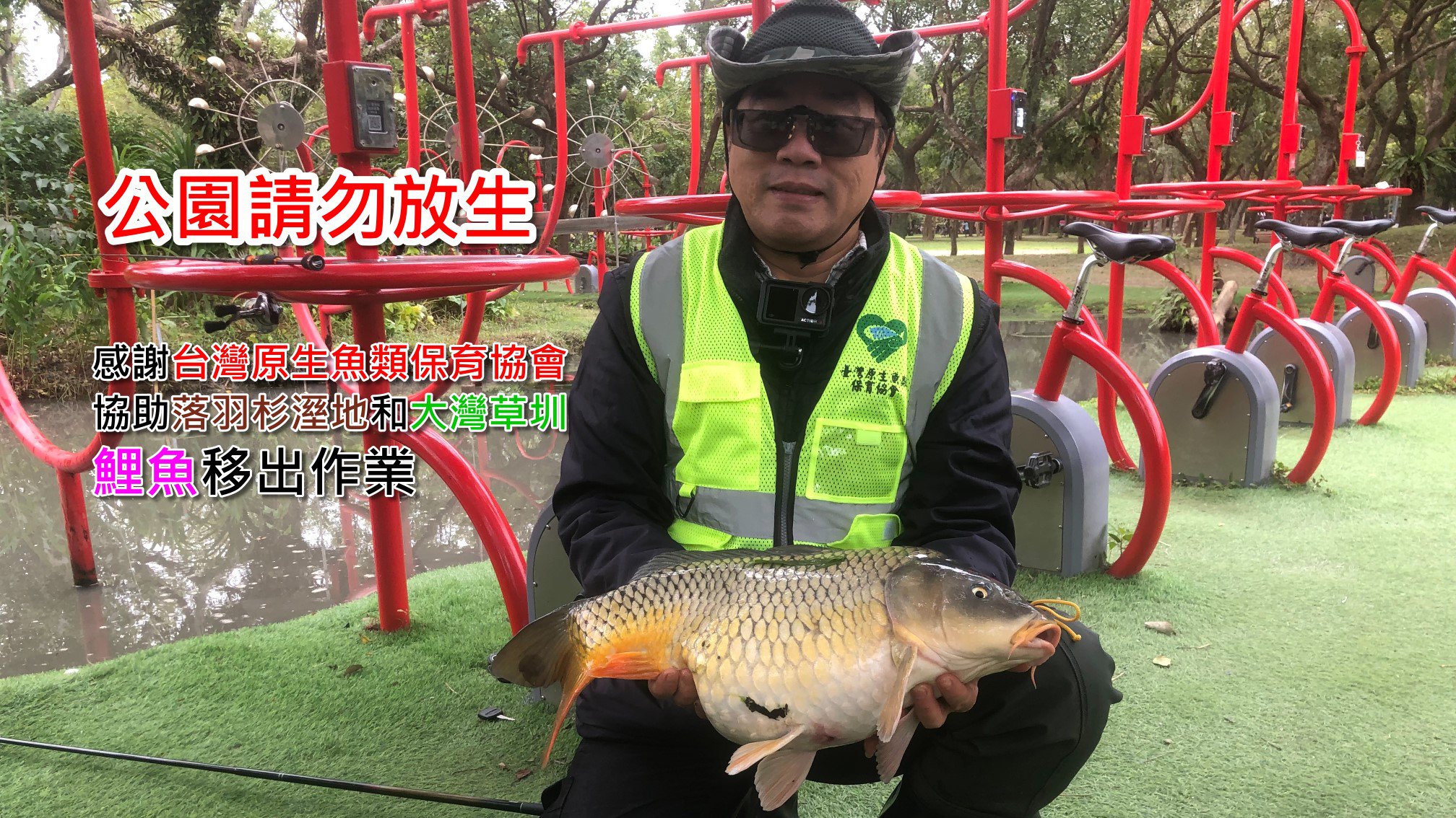 感謝台灣原生魚類保育協會協助落羽杉溼地和大灣草圳鯉魚移出作業