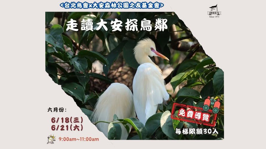 《走讀大安探鳥鄰》 #免費鳥類導覽解說 #環境教育 【六月份場次】