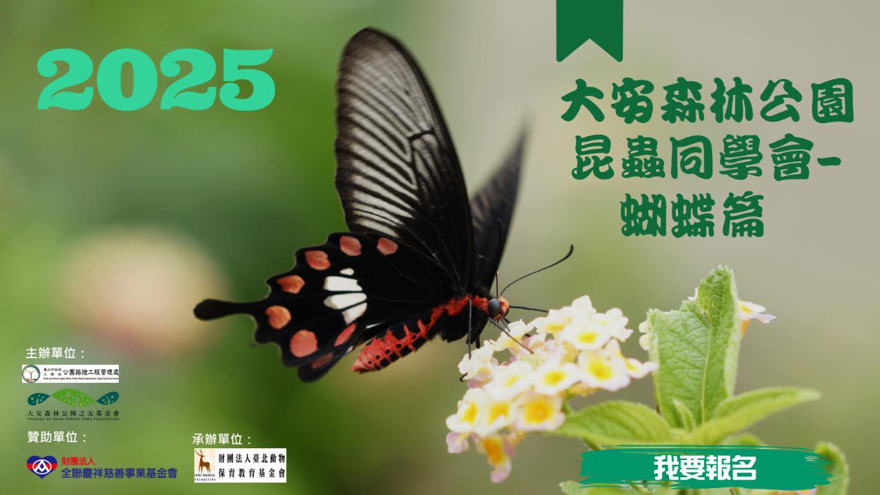 #昆蟲同學會｜蝴蝶體驗營 開放報名！8月13日場次