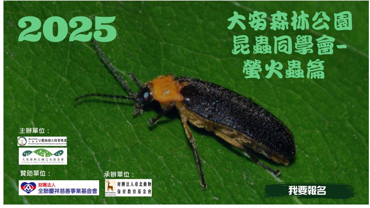 昆蟲同學會｜螢火蟲體驗營 8/27 (三)開放報名！