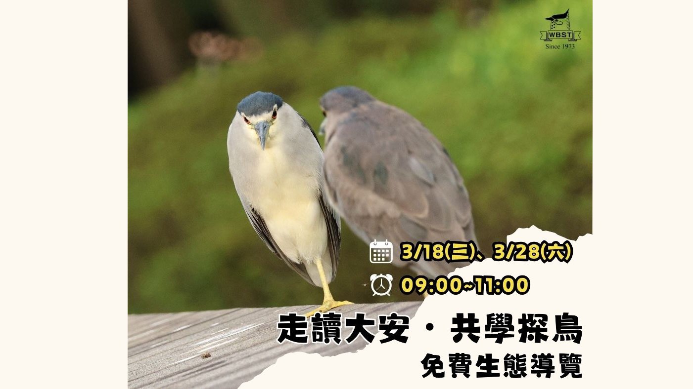 2026 走讀大安‧共學探鳥 免費生態導覽 三月份場次