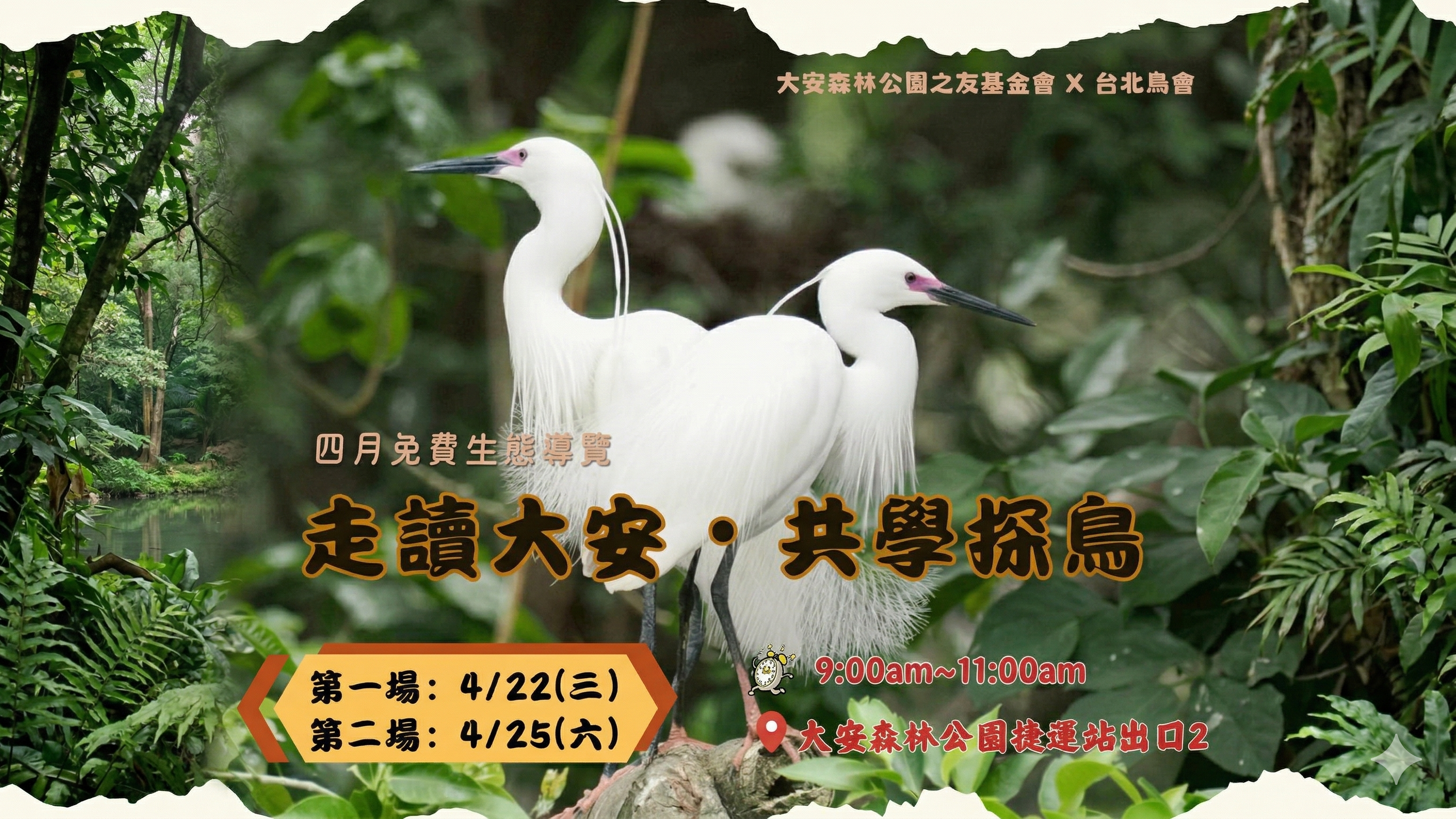 走讀大安*共學探鳥   2026年四月份場次