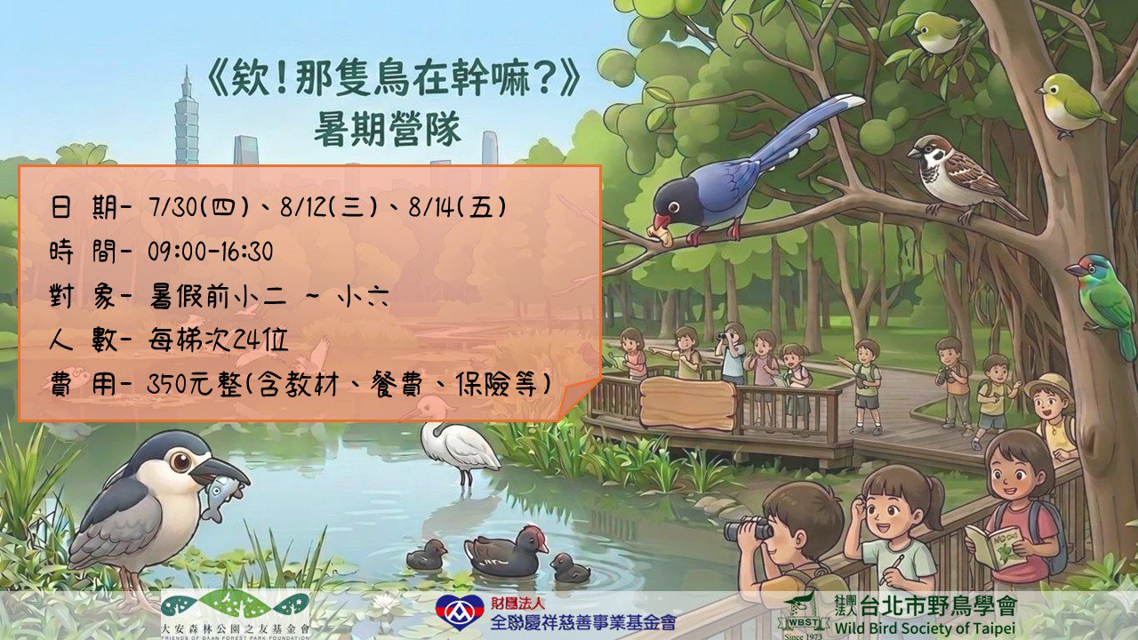欸！那隻鳥在幹嘛？「小羽偵探」暑期營隊徵集令！