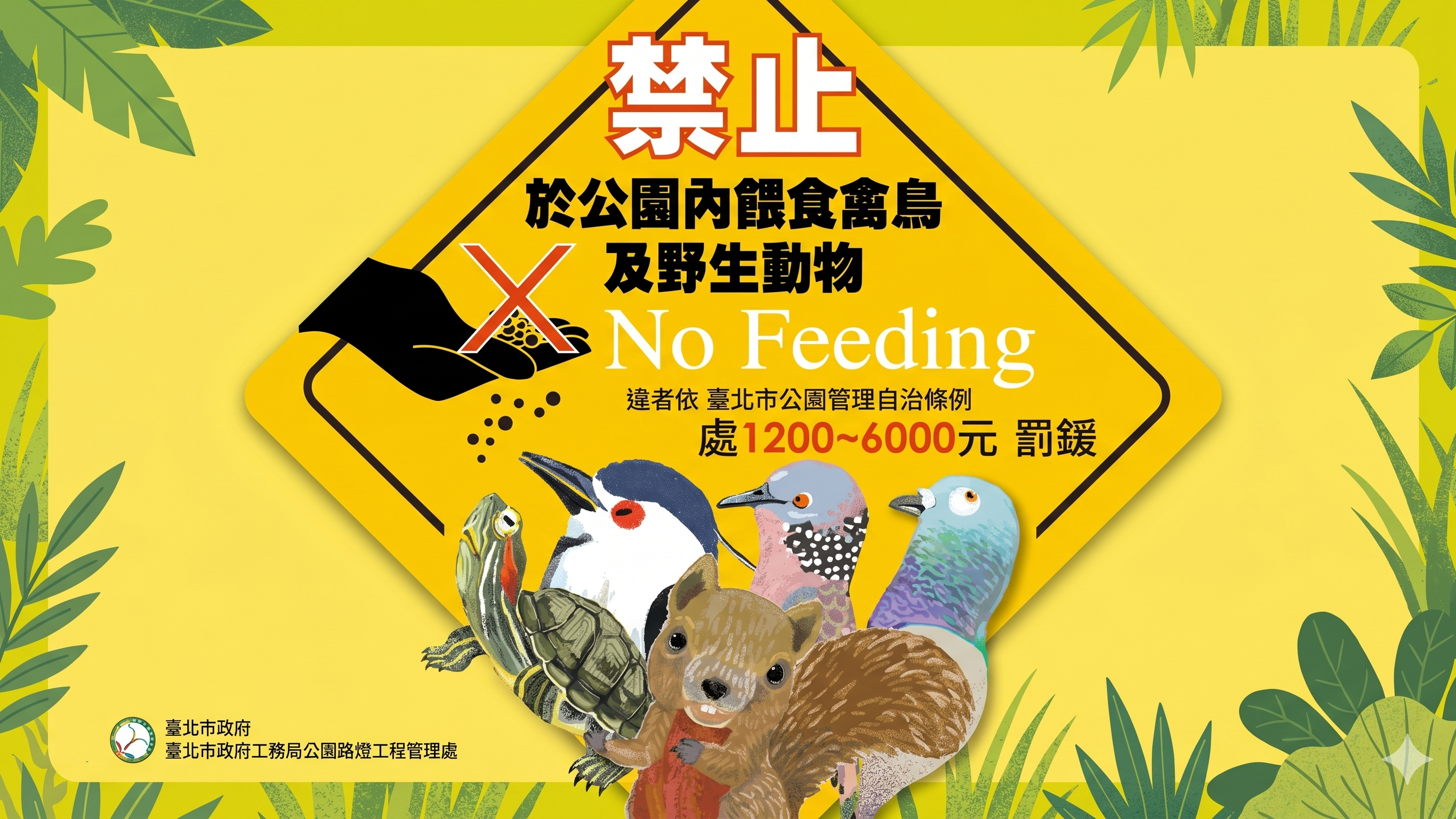 【公園不餵食｜一起用對的方式愛牠們】自5月1日起，臺北市公園加強取締餵食行為