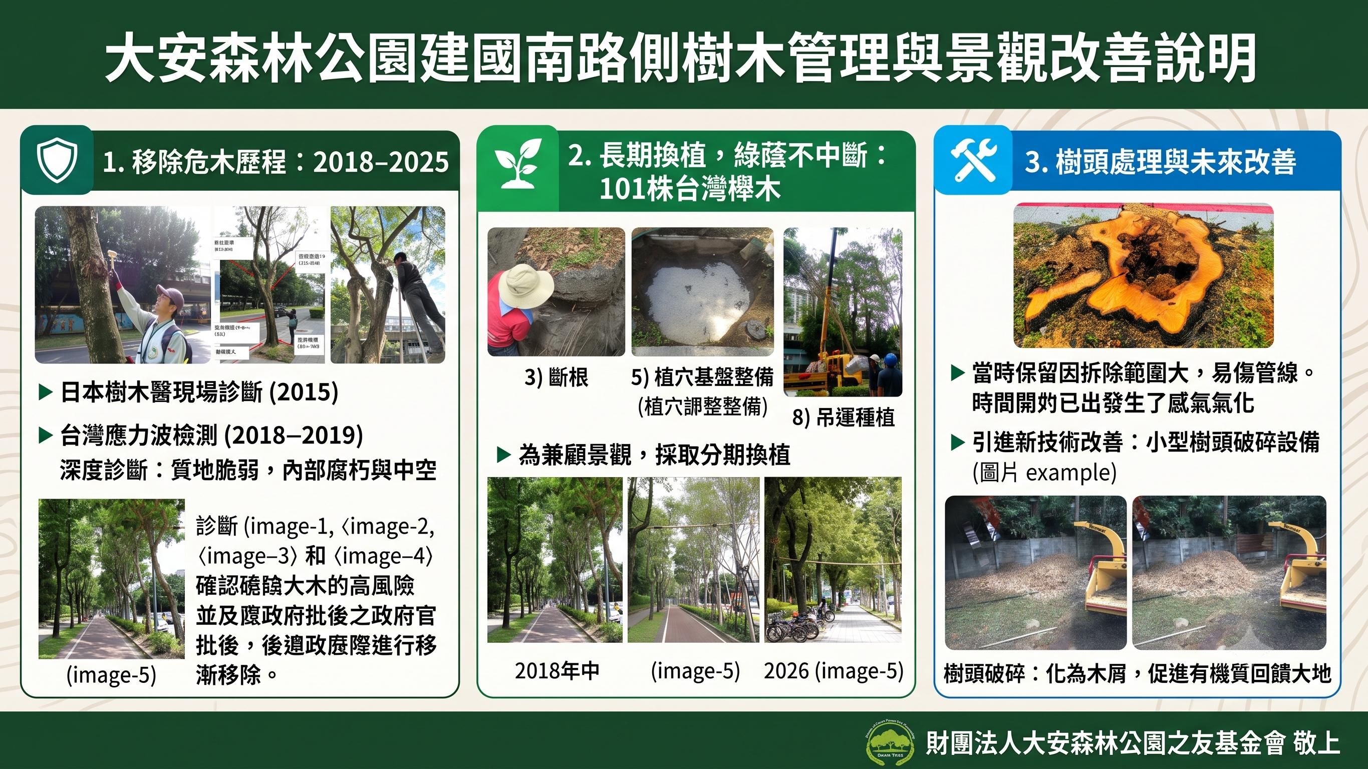 大安森林公園建國南路側樹頭相關歷程、科學診斷資料及未來的改善方式