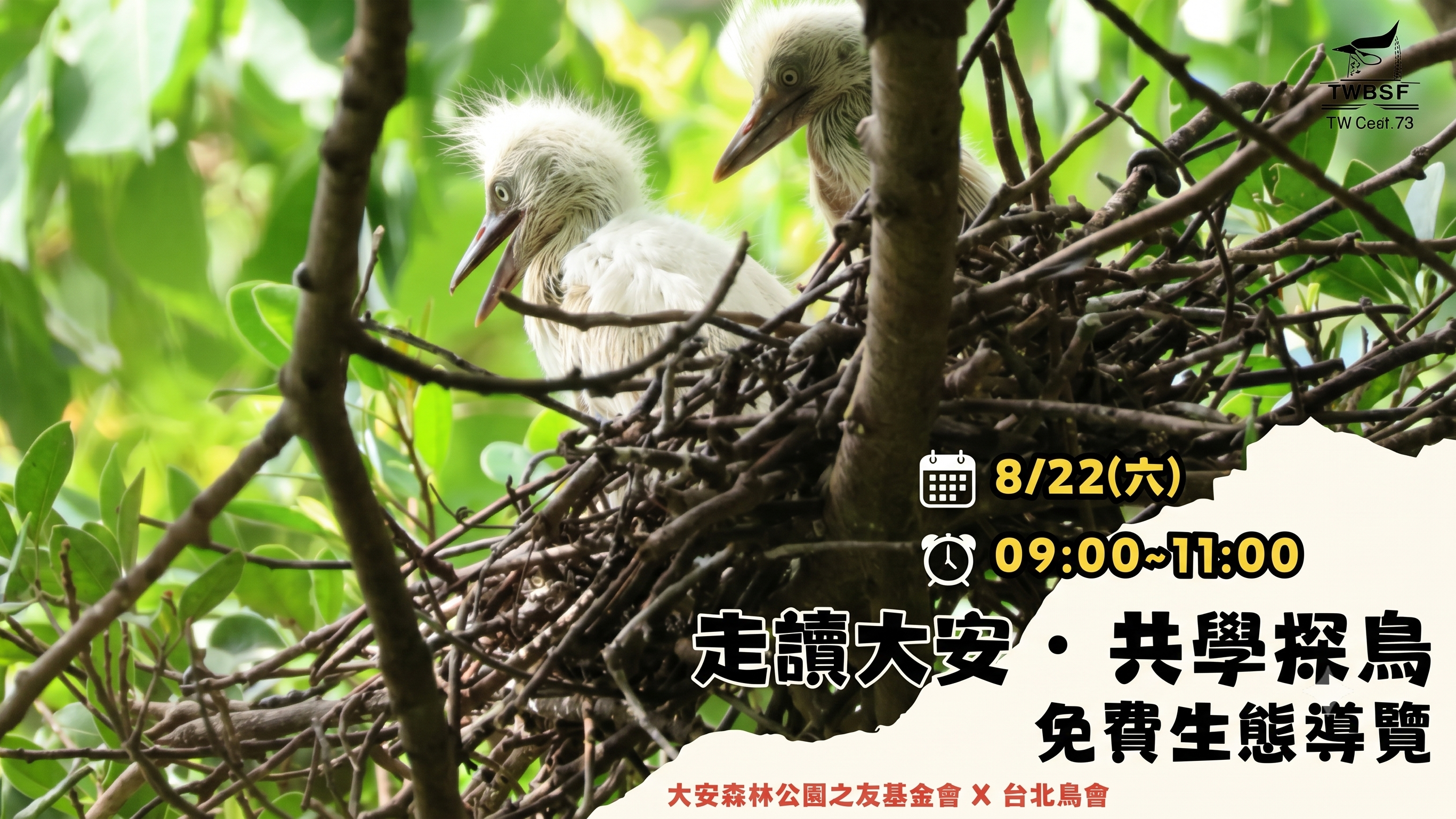 【大安走讀＊共學探鳥】 2026年8月份場次